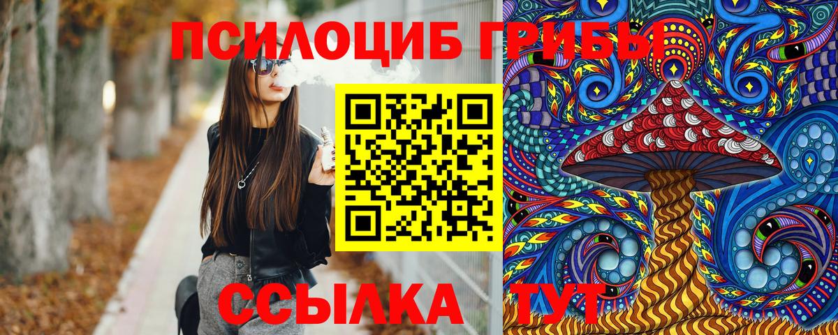 купить наркотик  Галлюциногенные грибы Magic Shrooms  Вход с VPN  Новочебоксарск 