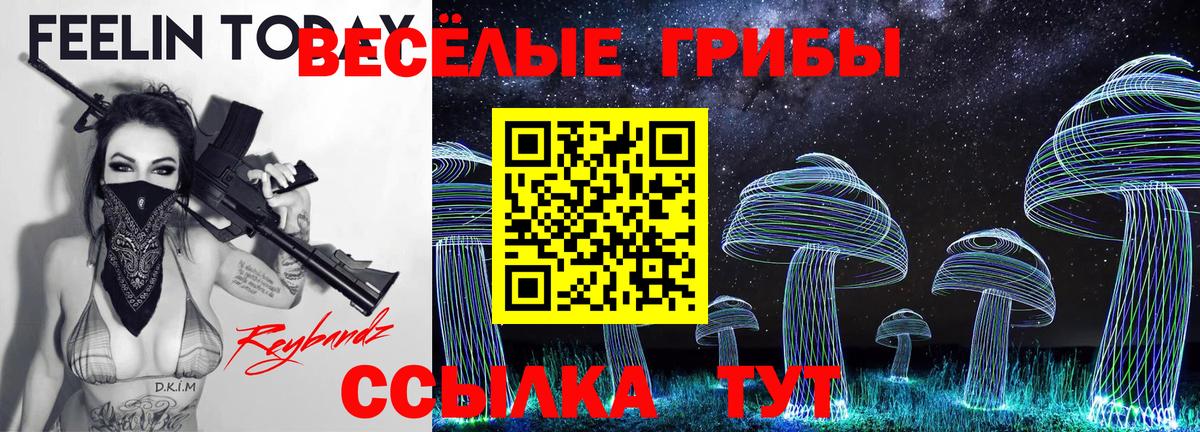 Галлюциногенные грибы Cubensis Новочебоксарск